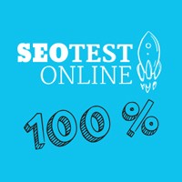 SEO Test Audit 100